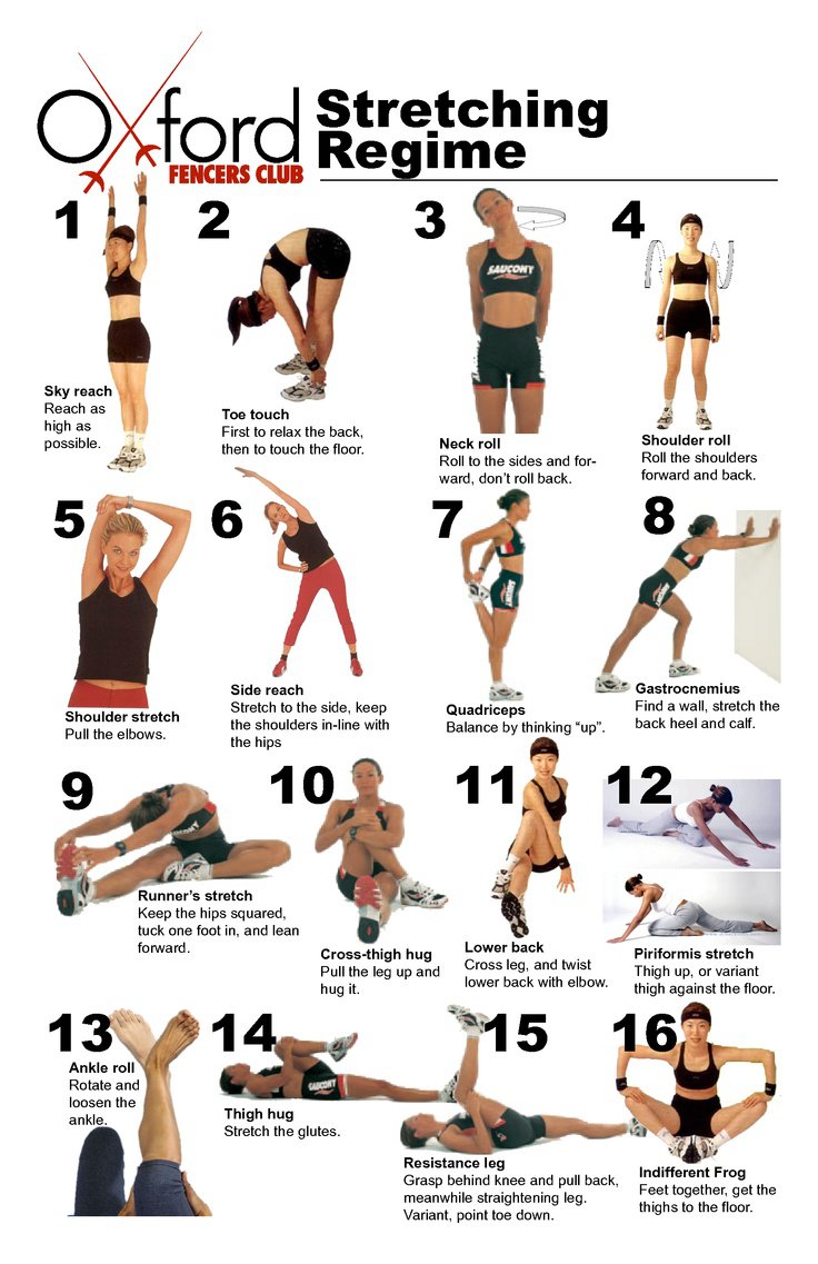 16 Weight Training Stretching Regime