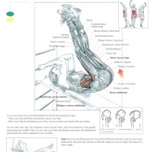 The ANATOMY Of Leg Raise