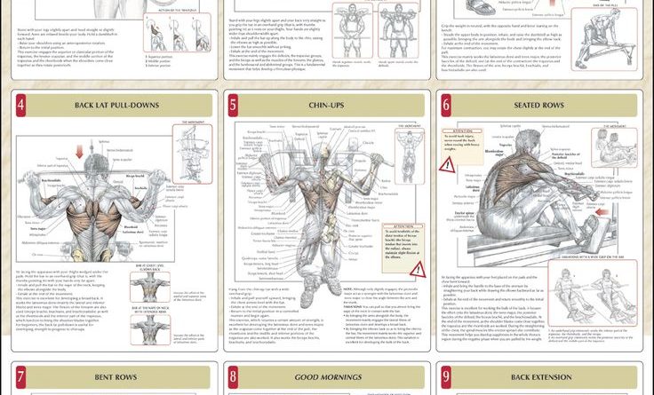 strength training workouts