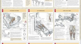 Top 8 Leg Workout ANATOMY