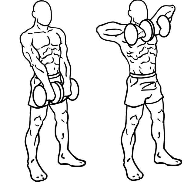 Dumbbell-upright-row