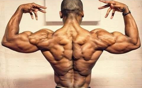 10 Rear Delts Shoulder Workout to Stimulate Growth