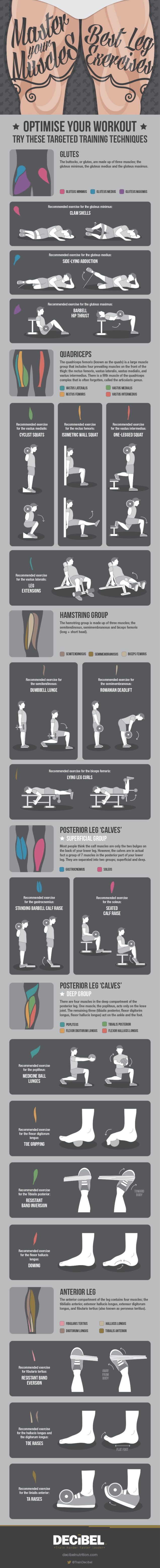 leg-exercise-infographic