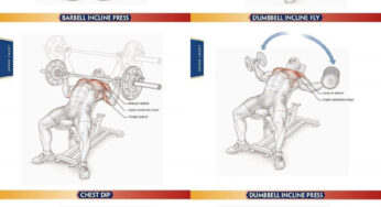 12 At Home Chest Workout for Men with Dumbbells & Cables