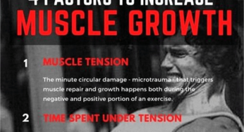 4 Factors that Increase Muscle Growth Rate