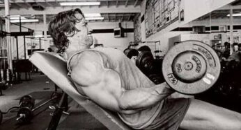 Arnold’s Arm Workouts and Advice for Huge Biceps