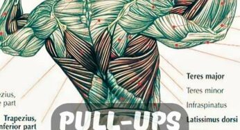 Pull Ups Back Exercise Superset Program