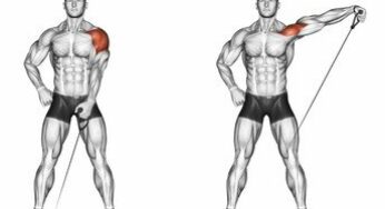 Master the Cable Lateral Raise – Key for Stronger, Wider Shoulders