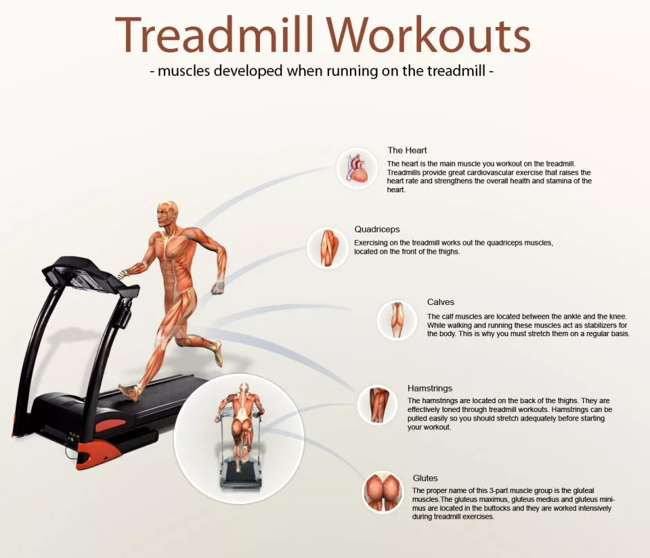 treadmill facts